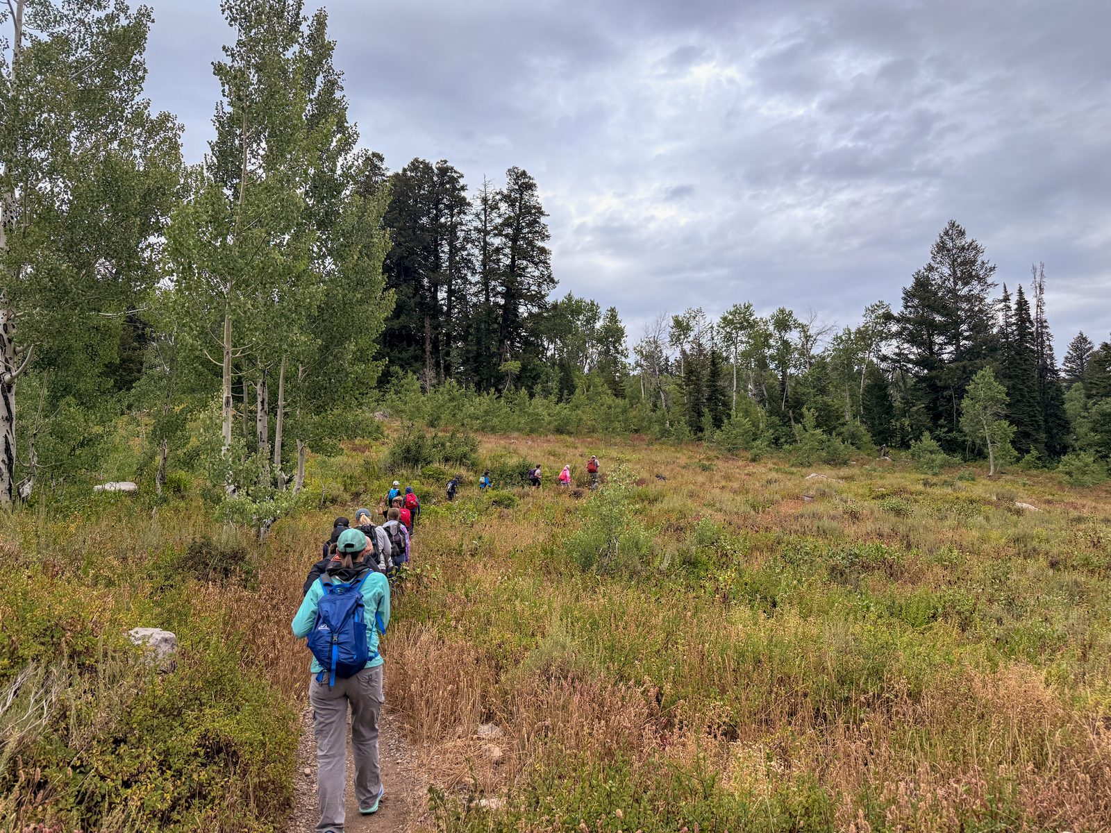 Group hiking the Mt. Naomi trail