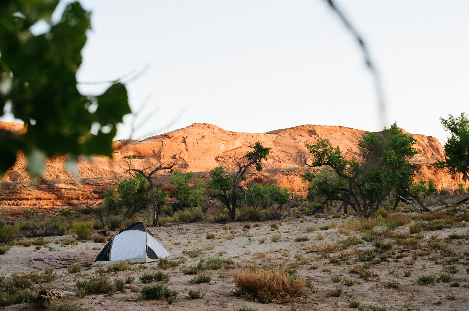 Tent at canyon camp at golden hour, Bears Ears country