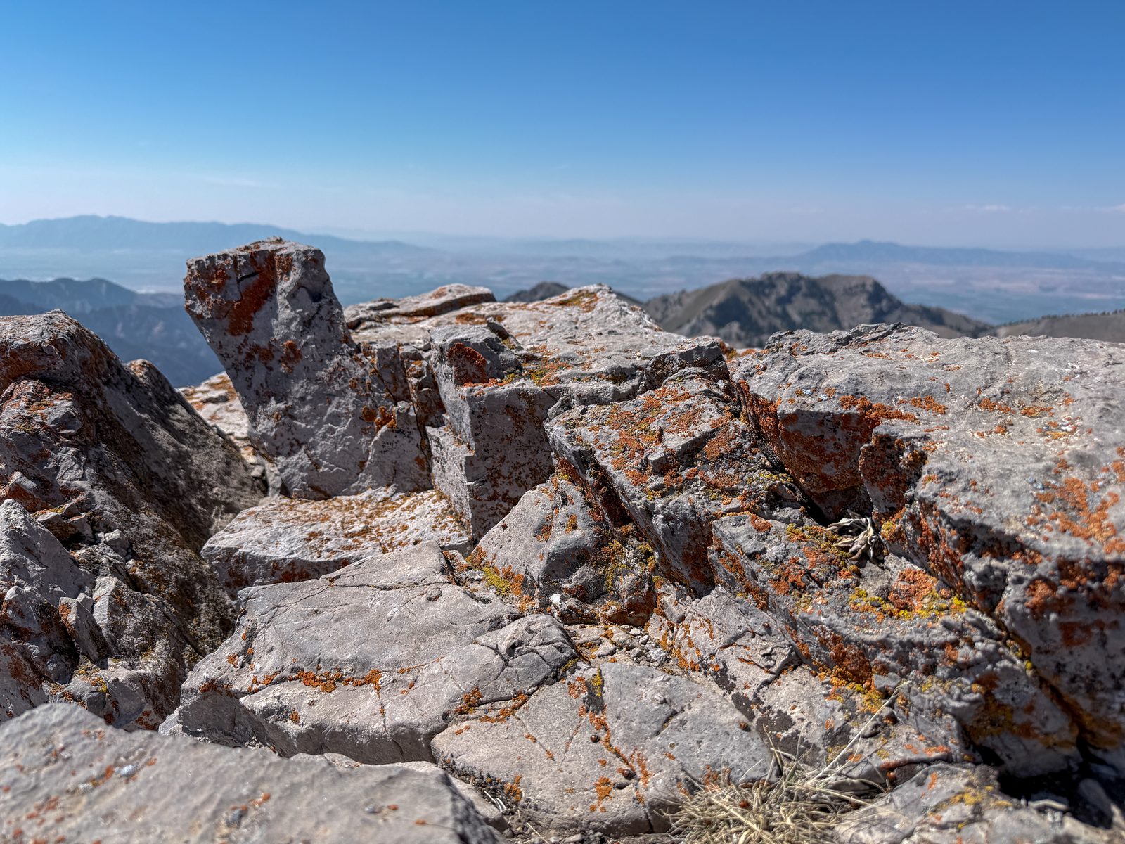 Summit rocks with lichen and mountain views